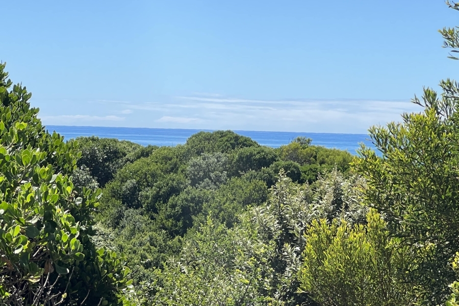 0 Bedroom Property for Sale in Paradise Beach Eastern Cape